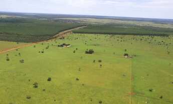 Imagem 3: Fazenda a venda com 170 alqueires a 15km de Selvíria