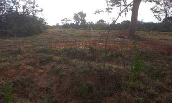 Imagem 2: Fazenda para venda possui 34 Alqueires em Pirenópolis-Go