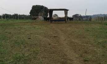 Imagem 4: Fazenda/Sítio/Chácara para venda tem 400000 metros quadrados em Centro - Itapetininga - SP