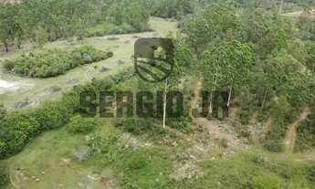 Imagem 3: Sítio com 19,3h e frente para o Rio Caí em Montenegro