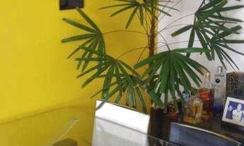 Imagem 2: Apartamento com 3 dormitórios para alugar, 63 m² por R$ 2.000/mês - Vila Pereira Barreto