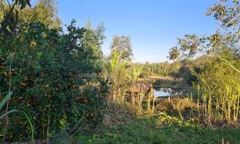 Imagem 5: Pandolfo Vende sítio no Guaíba Country