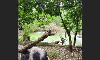 Imagem: Vendo chácara em sapucaia