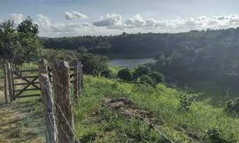 Imagem 5: Sítio 11 hectares em Paudalho