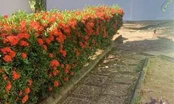 Imagem: Alugo Lagoa Nova,casa c/5/4,jardim,garagem