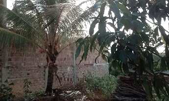 Imagem 5: Casa em sítio sem acabamento