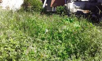 Imagem 2: Venda Terreno / lote com venda por R$70.000