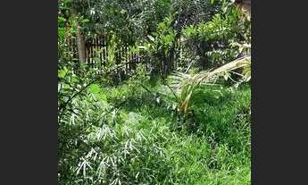 Imagem 4: Aluga - se casa Casa com 3 dormitórios