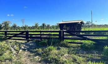 Imagem 4: Sítio localizada na LH 03 do flor do Amazonas a 31 km de Cándeias do Jamari