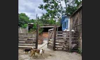 Imagem 4: Vendo chácara em sapucaia