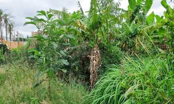 Imagem 3: Terreno - Chácara Primavera - Campinas