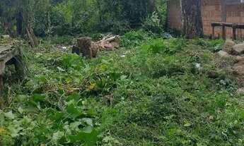 Imagem 5: Vendo Terreno Forquilhas