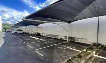 Imagem 7: Ap. Na vila ipê