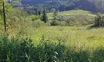 Imagem 5: Chácara 84 hectares valor 2,100,000,00 avista