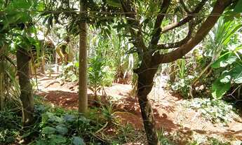 Imagem 3: Casa de condomínio térrea para venda possui 180 metros quadrados com 2 quartos