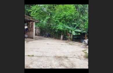 Imagem 3: Vendo chácara em sapucaia