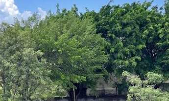 Imagem 2: Apartamento para venda tem 48 metros quadrados com 2 quartos em Valparaíso - Serra - ES