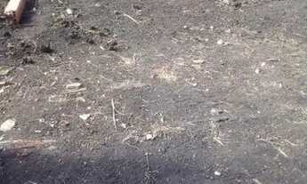 Imagem: Vendo terreno campo largo 40.000