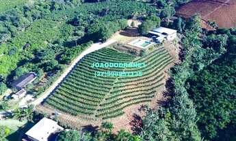 Imagem 3: Vendo este sítio