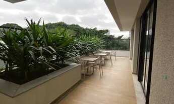 Imagem: Vereda Areião