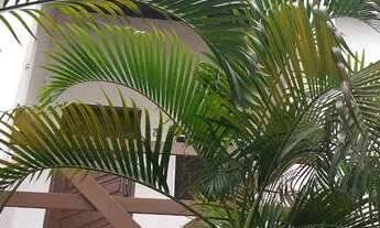 Imagem 7: Village Ipitanga 3/4