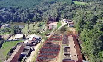 Imagem 4: Terreno Rural para Venda em Mandirituba, Mandirituba