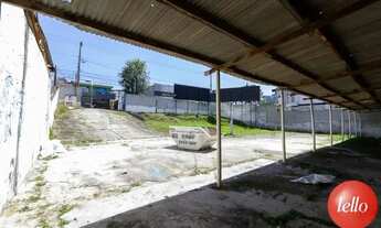 Imagem 5: São Bernardo do Campo - Terreno Padrão - Jardim Três Marias