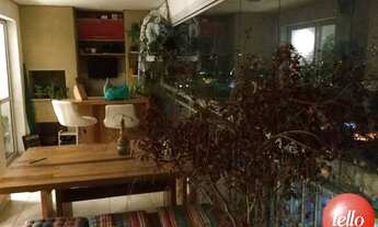 Imagem 6: São Paulo - Apartamento Padrão - Mandaqui