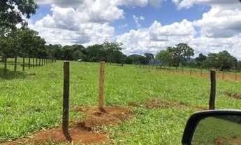 Imagem 4: Chácara em Hidrolândia Disponível para Venda