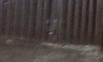 Imagem 3: Aluga-se casa Casa em condomínio com 2 dormitórios