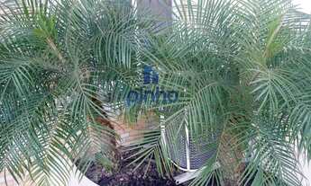 Imagem 4: Apartamento para Locação em Lauro de Freitas, Pitangueiras, 3 dormitórios, 1 suíte, 3 banh