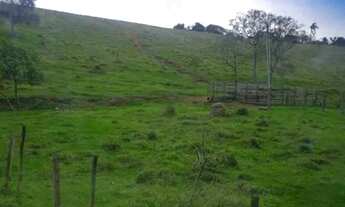 Imagem 5: 96 alqueires Tremembé sp