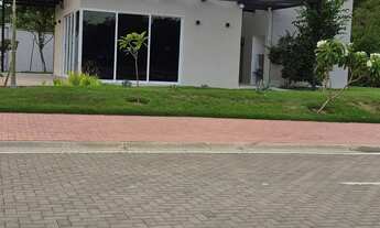 Imagem 7: Florais Esmeralda