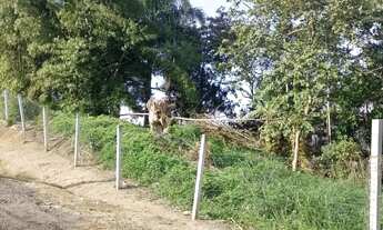 Imagem 3: REF. 294 Á venda terreno no bairro Ratones, Florianópolis/SC