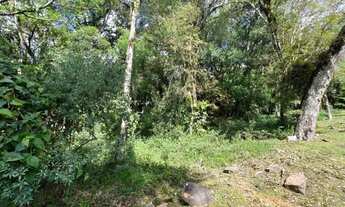 Imagem 3: Terreno em Condomínio - Bairro Pinheiro Grosso