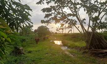 Imagem 3: FAZENDA RESIDENCIAL em BENEVIDES - PA, Estrada Pau dArco Comunidade Nelson Mandela - Ben