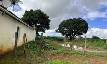 Imagem 2: Casa e terreno de 5,5 tarefas no Mulungu da Lagoa Preta