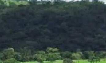 Imagem 2: Sítio monte Carmelo