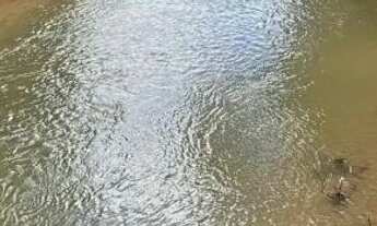 Imagem 2: Vendo ágio de mini chácara