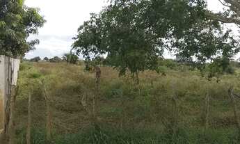 Imagem 4: OPORTUNIDADE - Terreno 6.000m2 renegocio o valor