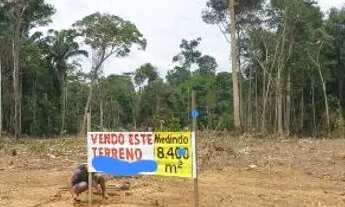 Imagem: Lote jerusalem da Amazônia