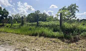 Imagem: Vendo Terreno em Marechal Totalmente Documentado