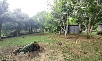 Imagem 6: Sítio no Km 26 da AM 070 Porteira Fechada