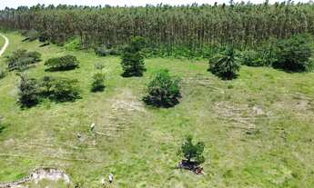 Imagem 7: Oportunidade linda fazenda em Messias