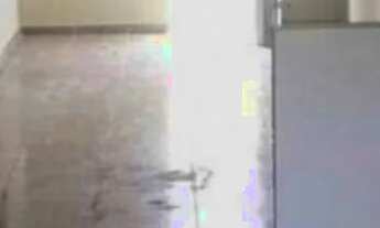 Imagem 6: 07- Casa no Cohatrac II