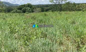 Imagem 3: FAZENDA À VENDA - 190 HECTARES - BURITIS (MG