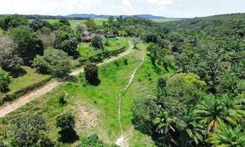 Imagem 6: Oportunidade linda fazenda em Messias