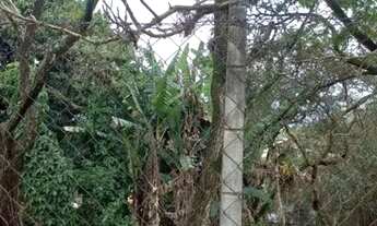 Imagem 5: TERRENO - JARDIM PAULISTA - SP