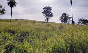 Imagem 4: Chacara 42 Hectares - Bonfinópolis