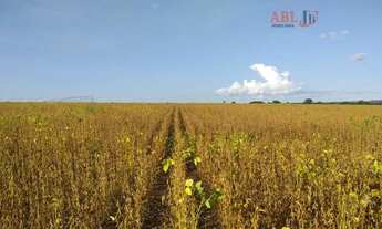 Imagem 7: Fazenda para Venda em Centro Unaí-MG